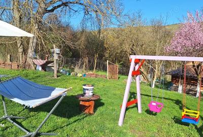 Casă cu 2 camere în Ațintiș - 9