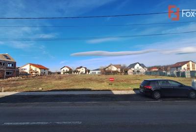 Teren Construcții intravilan de 968 mp, în Dumbrăvița - 2