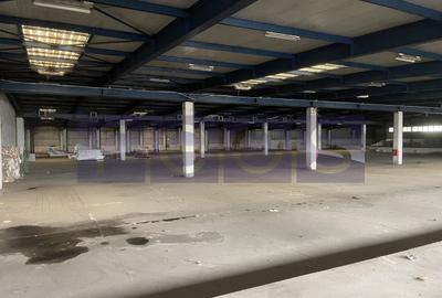 Spațiu industrial, de 19,300 mp, în Odăi - 21