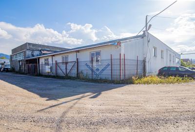 Spațiu industrial - Hală Oligopol - 1