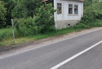 Domeniu verde autentic,  +5.000mp, front la DJ, Valcele, Brasov -- Covasna - 6