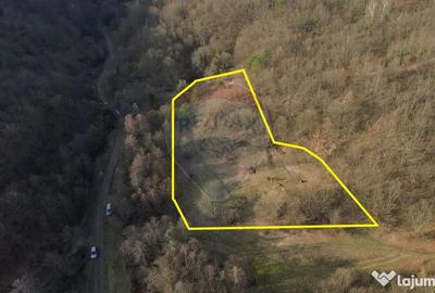 Teren de 5000 mp, în Coaș - 8