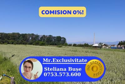 Teren agricol intravilan de 10294 mp, în Sud - 1