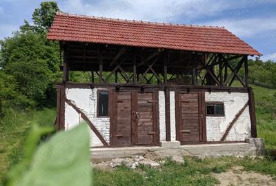 Vand proprietate in suprafata totala de 4283 mp in comuna Cotmeana - 3