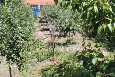 Teren de 600 mp, în Săsciori - 2