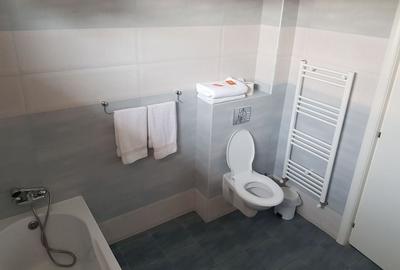 Aparthotel ,pensiune la cheie . - 21