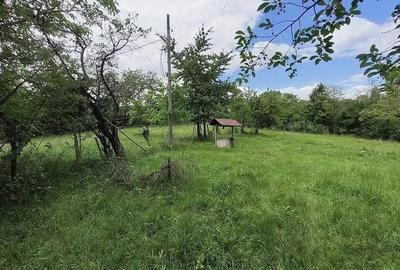 Teren intravilan 7759 mp in Curtea de Arges zona Noaptes - 6