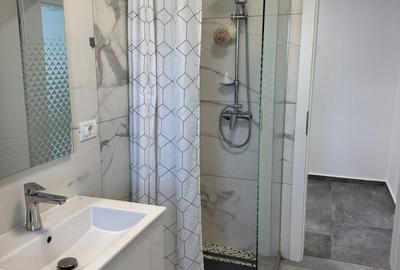 Apartament cu 2 camere, mobilat în Dumbrăvița - 4