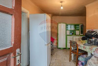 Comision 0 | Casa cu 3 camere, teren 1541 mp, livada, beci si garaj - 19