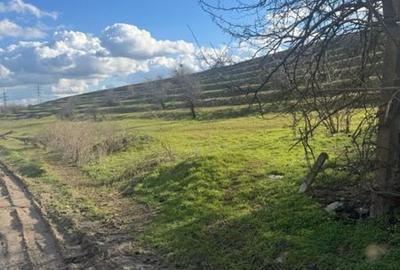 Teren de 5500 mp, în Nanov - 3