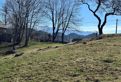 Teren 7000 mp Fundata la 15 km de  zona Bran-Moeciu - 2