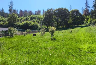 Teren intravilan în Cristian - Lunca Gării. - 3