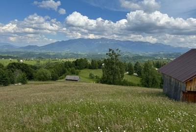 Teren inconjurat de natura de vanzare in Pestera - 4