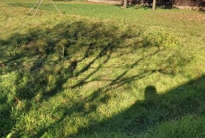 Casa de vanzare zona LIDL - 5