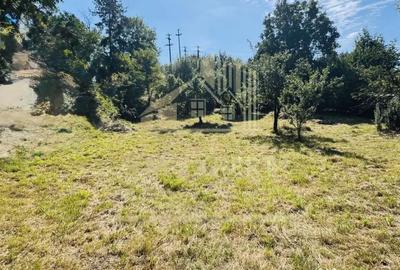 Teren de 3234 mp, în Lerești - 13