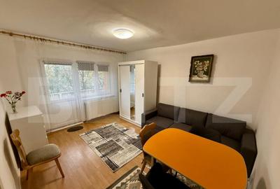 Garsoniera, 36 mp, zona Brazda - 4