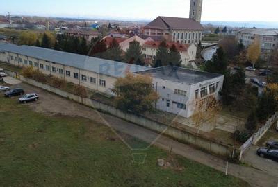 Cladire Administrativa si Hala Multifunctionala de Inchiriat - Bacau - 3