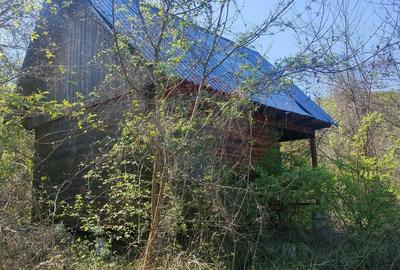 Teren de vis în Stejeriș – utilități, natură, acces rapid! - 4