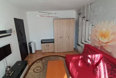 Apartament cu 2 camere decomandat, mobilat în Drumul Taberei - 11