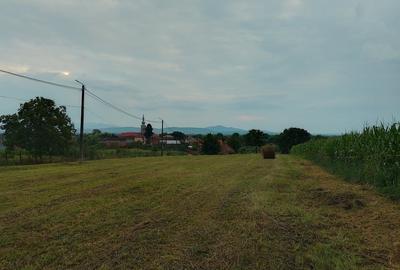 Teren Construcții intravilan de 3687 mp, în Dumbrava - 9