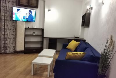 Garsoniera Pridvorului Sun Plaza - 11