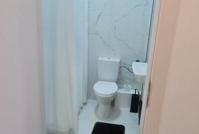 Apartament cu 2 camere decomandat, mobilat în Chiajna - 10