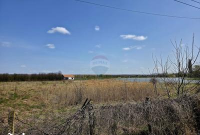 Teren de 7000 mp, în Girov - 7