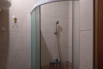 Garsoniera de inchiriat Zizin - 2