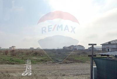 Vanzare Teren Magurele / Strada Nuferilor - 2