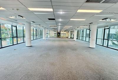 SPATIU DE BIROURI | 636 MP | DISPONIBIL IMEDIAT | SPATIU DE BIROURI | 636 MP | DISPONIBIL IMEDIAT | - 2