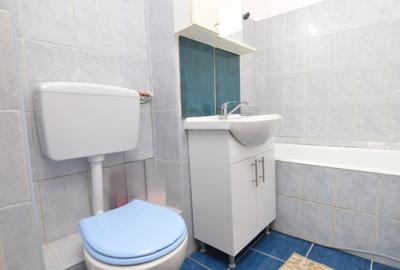 INCHIRIERE GARSONIERA DRISTOR - RACARI - LOC DE PARCARE - 14