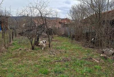 Casă cu 3 camere cu Teren 571 Mp în Bălănești - 5