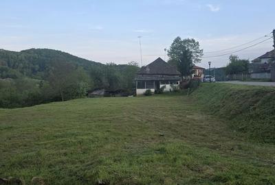 Teren de 3000 mp, în Vârfuri