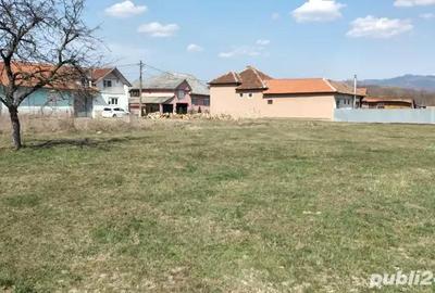 Teren de 2383 mp, în Buntești - 5
