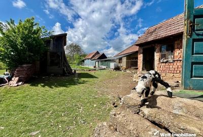 Exclusivitate ! Pozitie excelenta, casa Savadisla - 3