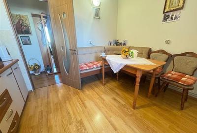 Apartament decomandat cu 2 camere zona Vasile Aaron - 14