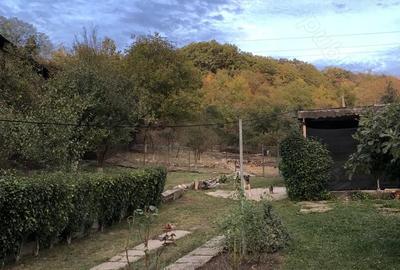 Casă cu Teren 2800 Mp în Central - 2