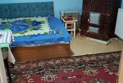 Casă cu 2 camere decomandat cu Teren 250 Mp în Rahova - 11