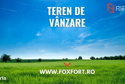 Spațiu comercial, în Moșnița Nouă - 5