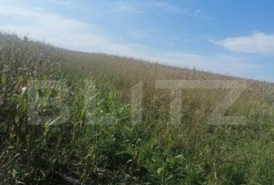 Teren 3000 mp, extravilan, Miroslava - 3