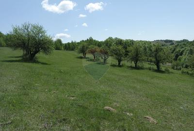 Teren de vânzare în PRELUCA NOUA - 3