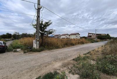 Pantelimon - Complex Lebada, vanzare teren 1.190mp. dubla deschidere - 9