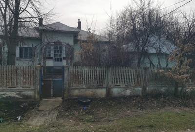 Casă individuală cu 5 camere cu Teren 2002 Mp în Zănoaga - 1