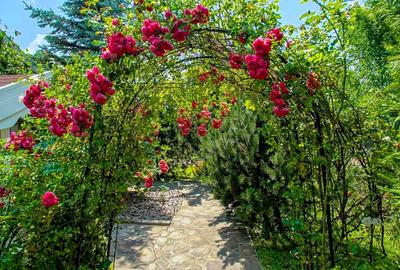 Proprietate unică pe malul lacului Moacșa – liniște, rafinament, eleganta - 54