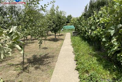 Casa de Tudor Vladimirescu Tulcea Casa de Tudor Vladimirescu Tulcea - 12