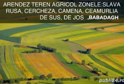 Preluam teren agricol in arenda - 1