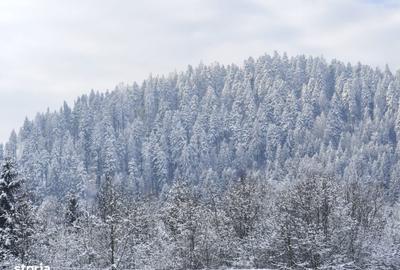 Teren de 22600 mp, în Sucevița