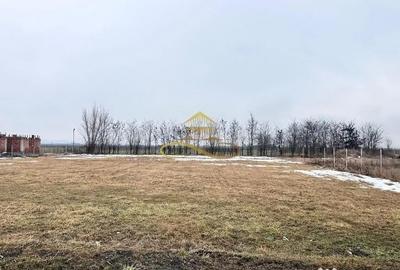 Teren în Săucești - 6