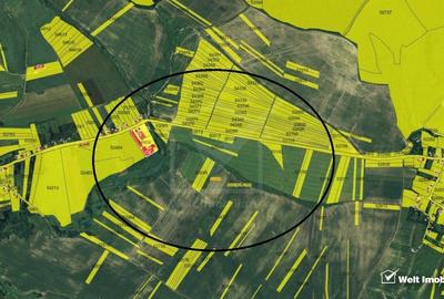 Teren extravilan in Rediu - Aiton, 4300 mp, la 150 m distanta de intravilan - 4
