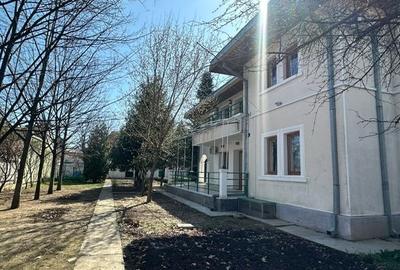 VILA SUPERBA CU CURTE, VEGETATIE SI ANEXE - 7